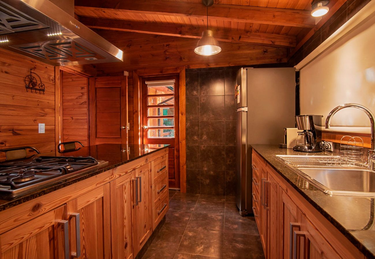 Amplia cocina BOG Sulla Montagna Villa La Angostura