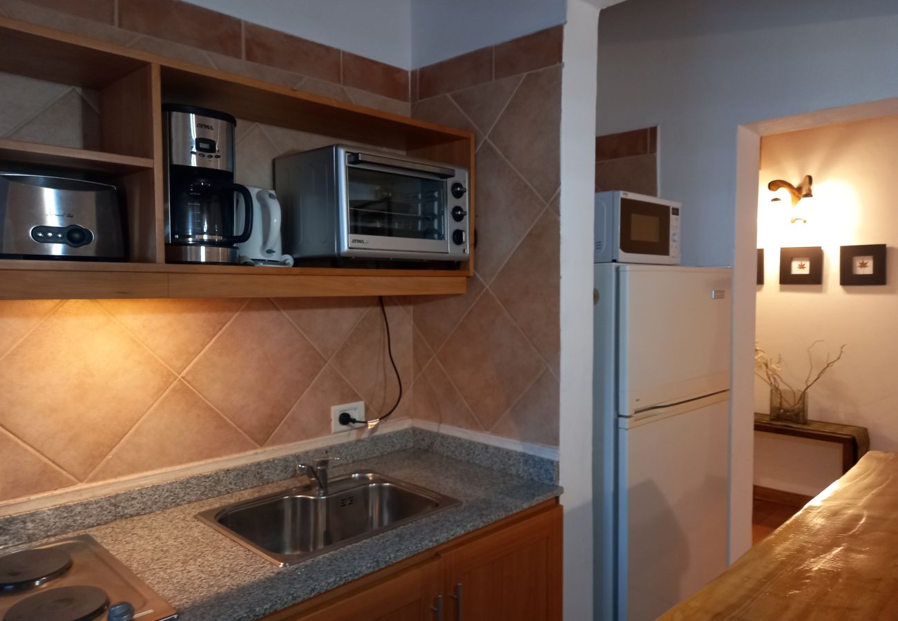 Apartamento en Villa La Angostura - Departamento Andino 1