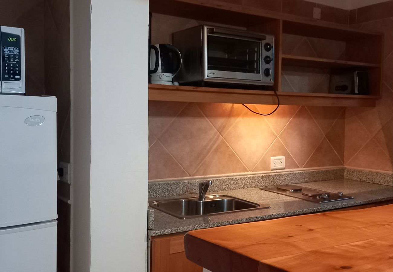 Apartamento en Villa La Angostura - Departamento Andino 2