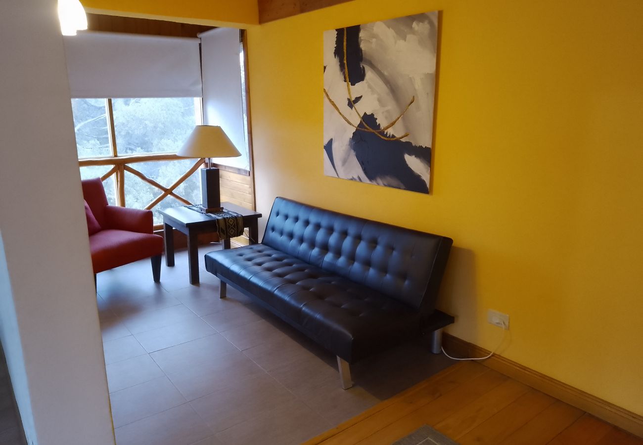 Apartamento en Villa La Angostura - Departamento Andino 2