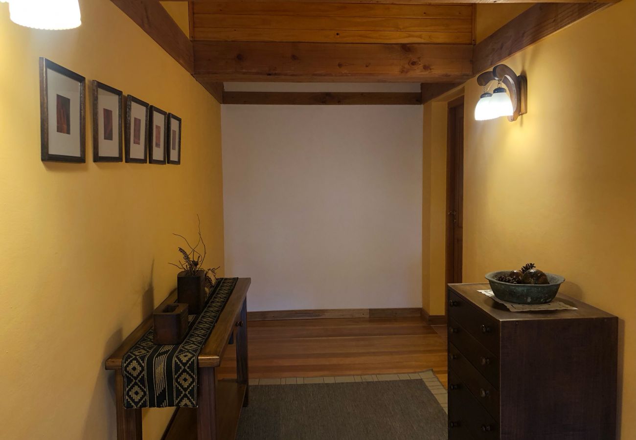 Apartamento en Villa La Angostura - Departamento Andino 2