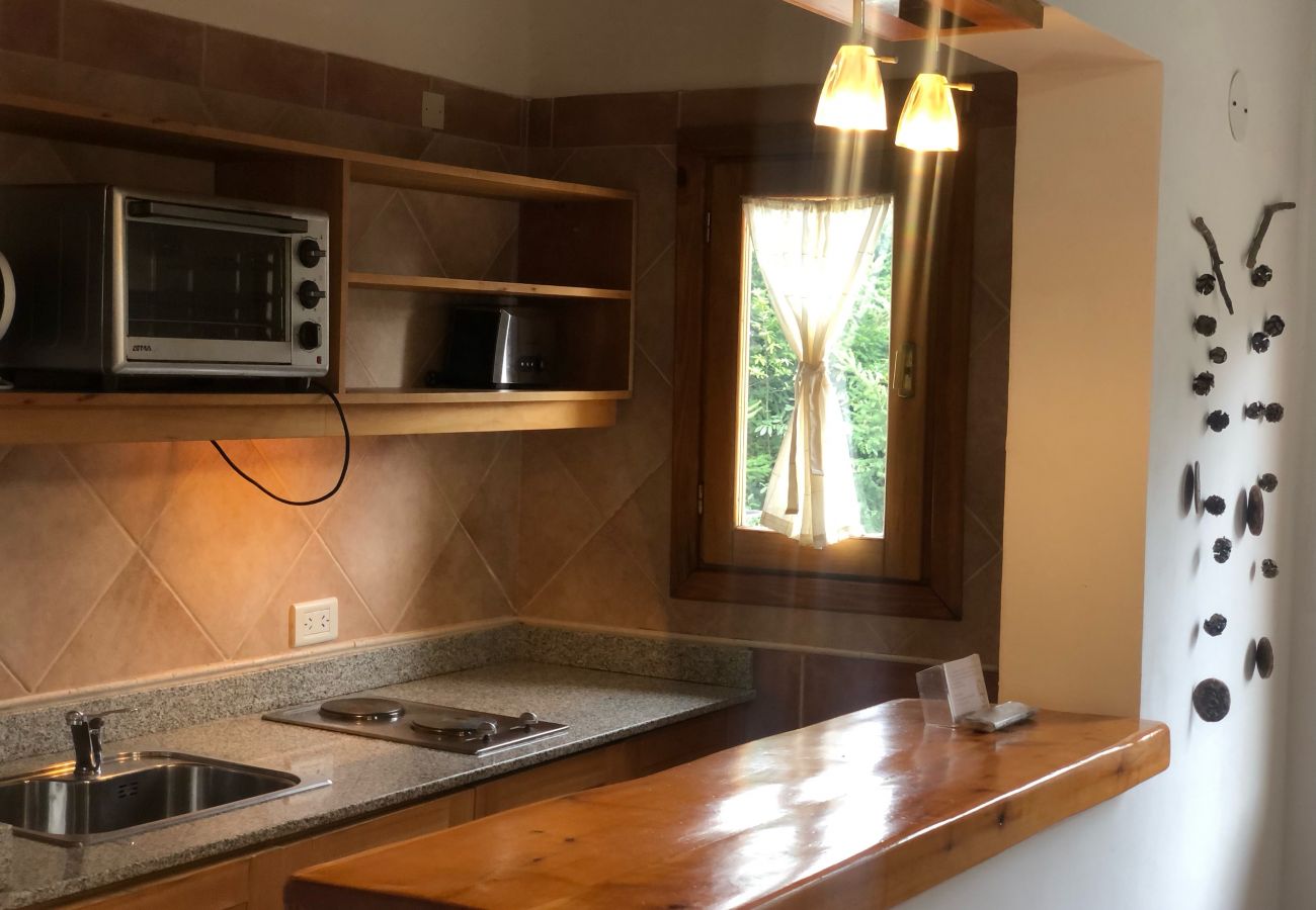 Apartamento en Villa La Angostura - Departamento Andino 2
