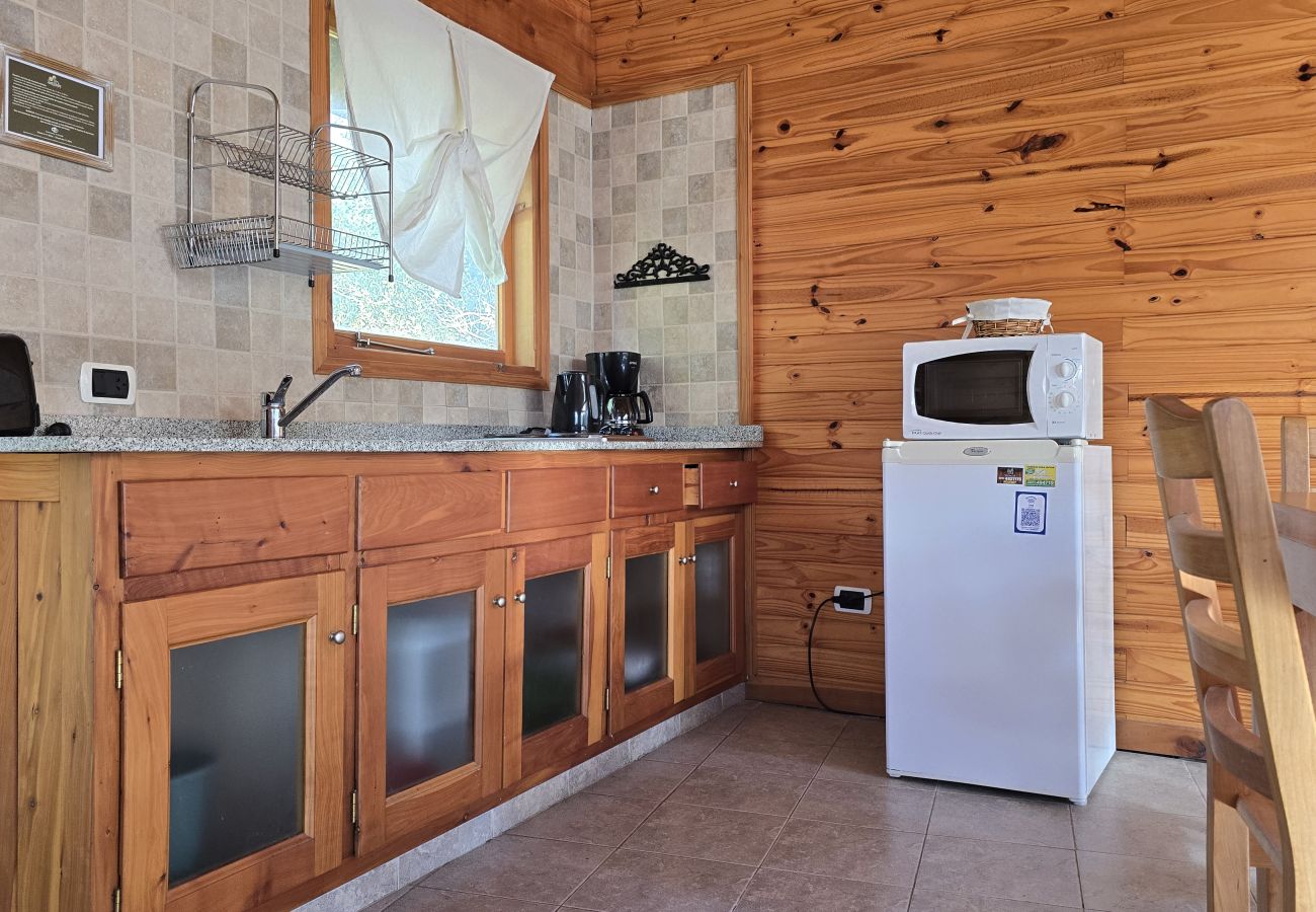 Apartahotel en Villa La Angostura - Altos de Antilhue 5 | Apart Hotel con vistas al bosque