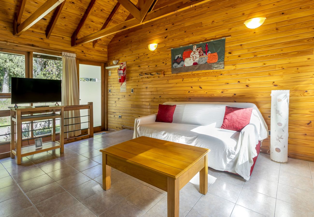 Apartahotel en Villa La Angostura - Altos de Antilhue 1 | Apart Hotel con vistas al bosque