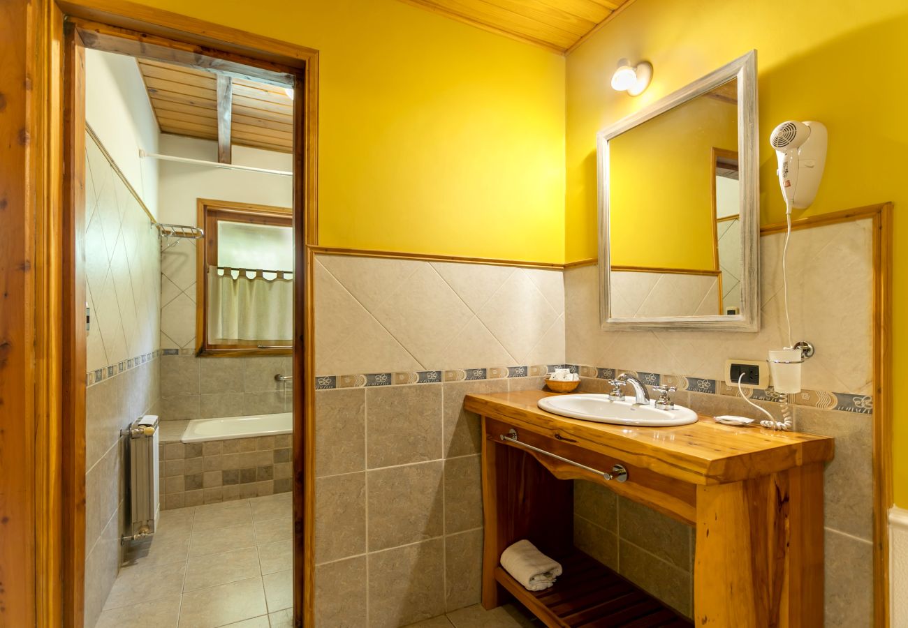 Apartahotel en Villa La Angostura - Altos de Antilhue 4 | Apart Hotel con vistas al bosque