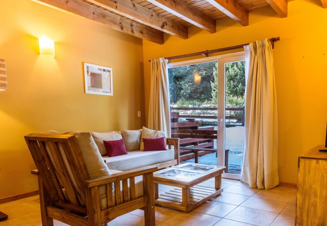 Apartment in Villa La Angostura - Apart Foresta 1