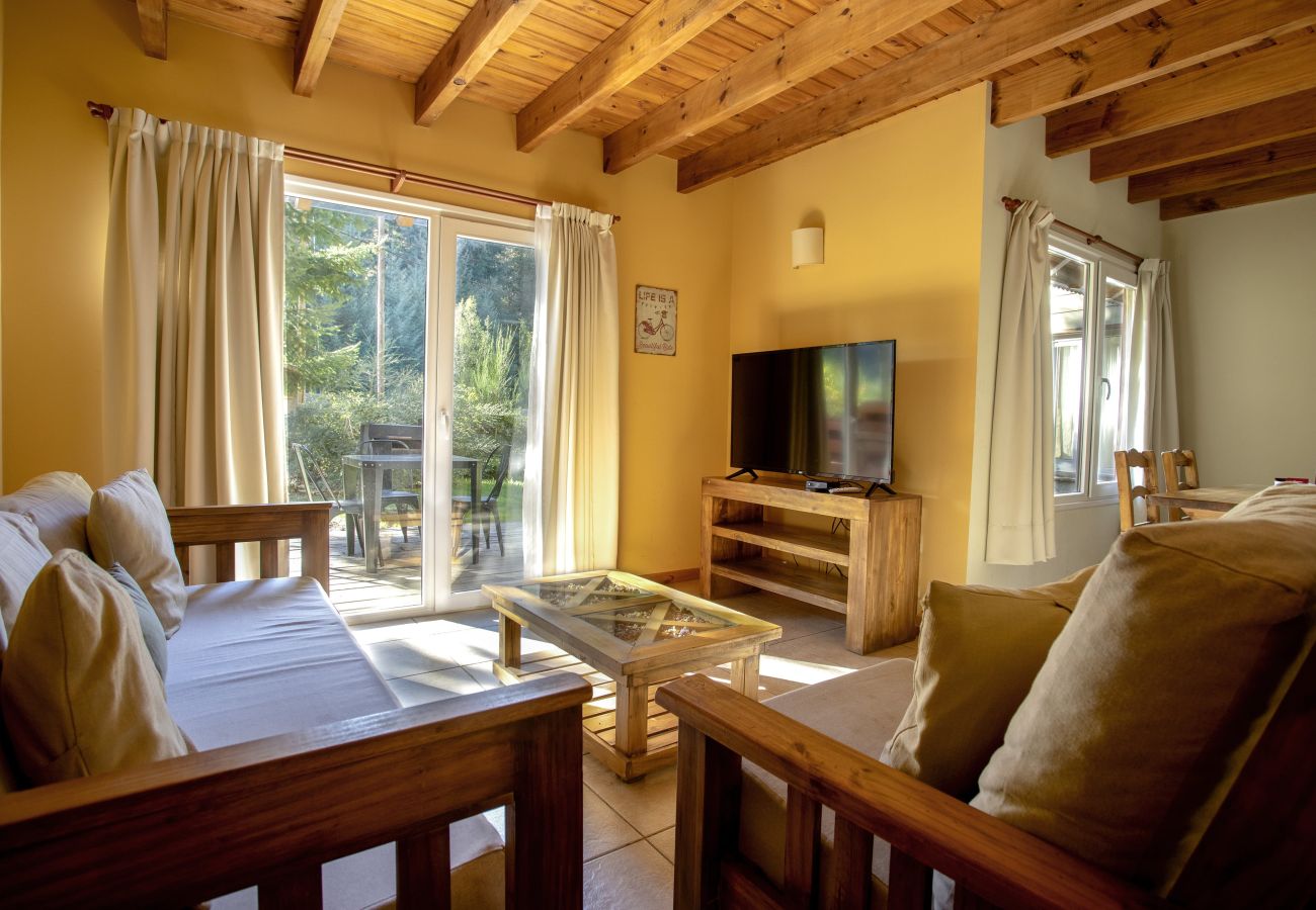 Apartment in Villa La Angostura - Apart Foresta 1