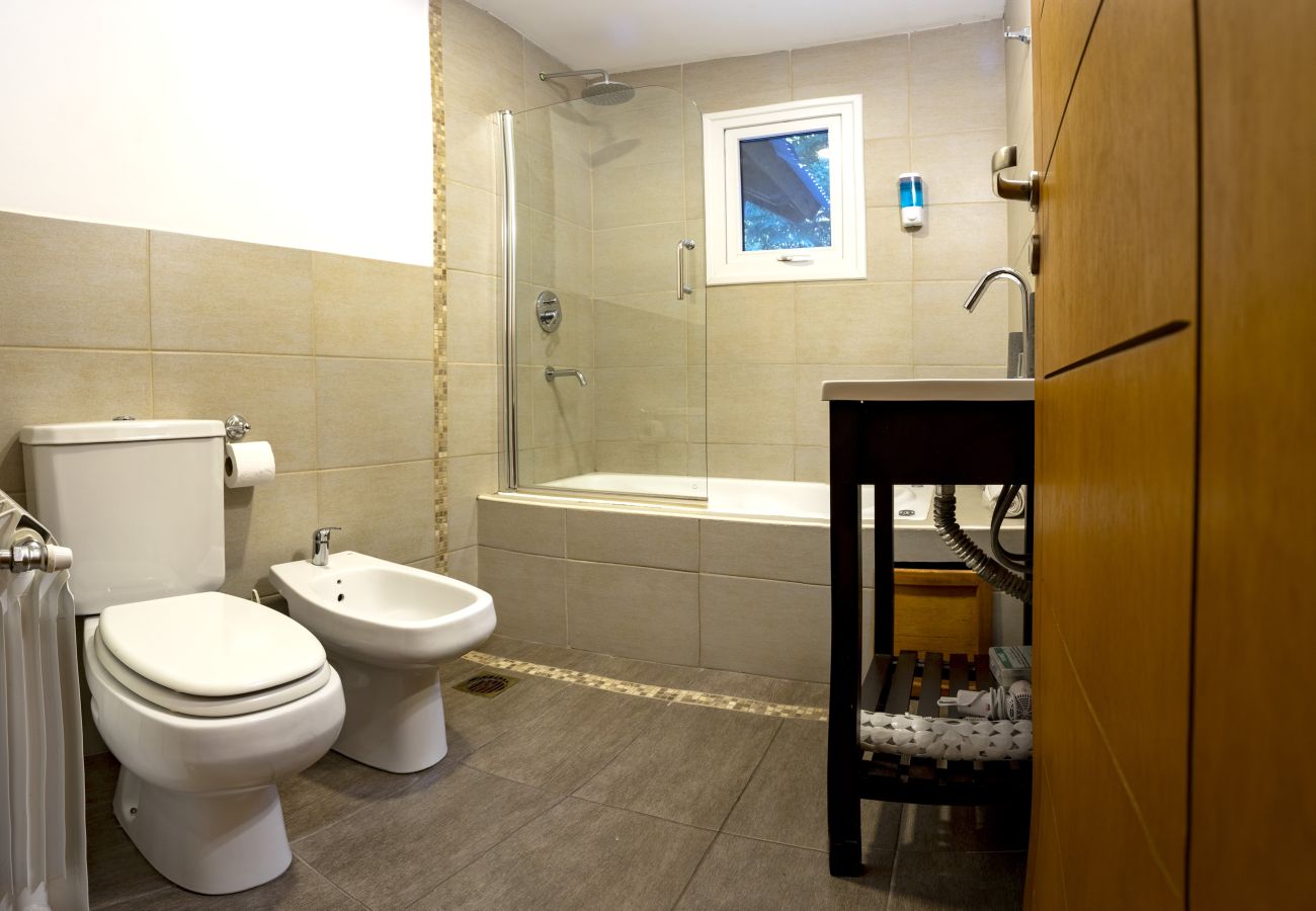 Apartment in Villa La Angostura - Apart Foresta 4