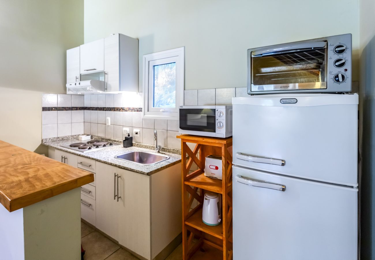 Apartment in Villa La Angostura - Apart Foresta 4