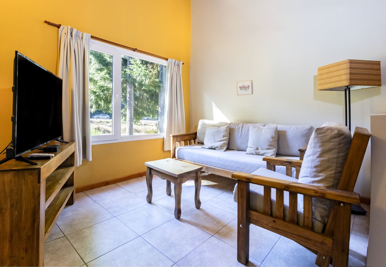 Apartment in Villa La Angostura - Apart Foresta 4