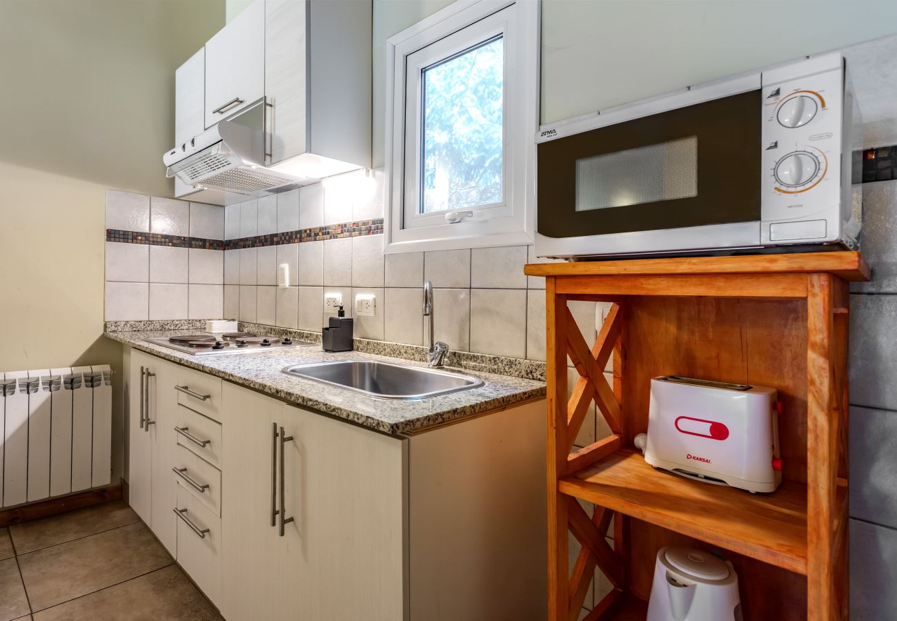 Apartment in Villa La Angostura - Apart Foresta 4