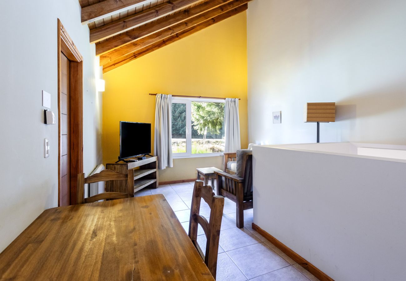 Apartment in Villa La Angostura - Apart Foresta 4
