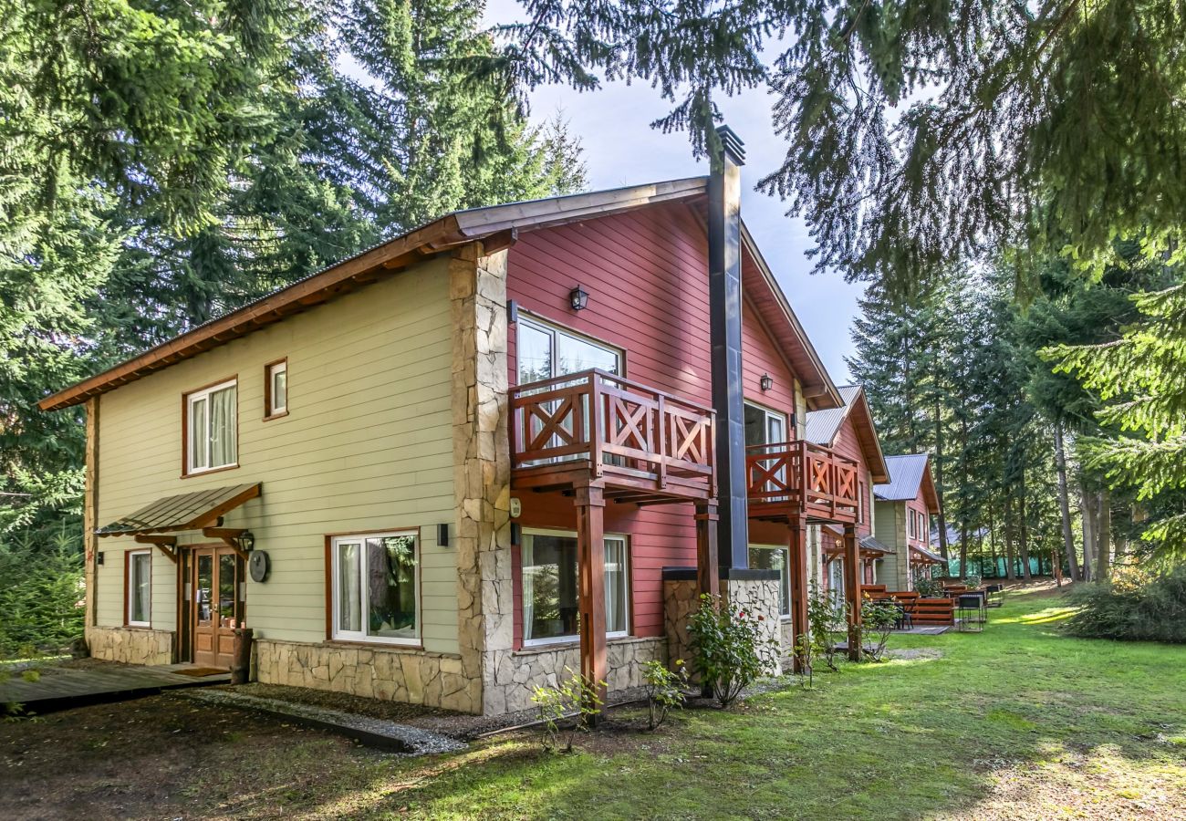 Apartment in Villa La Angostura - Apart Foresta 6