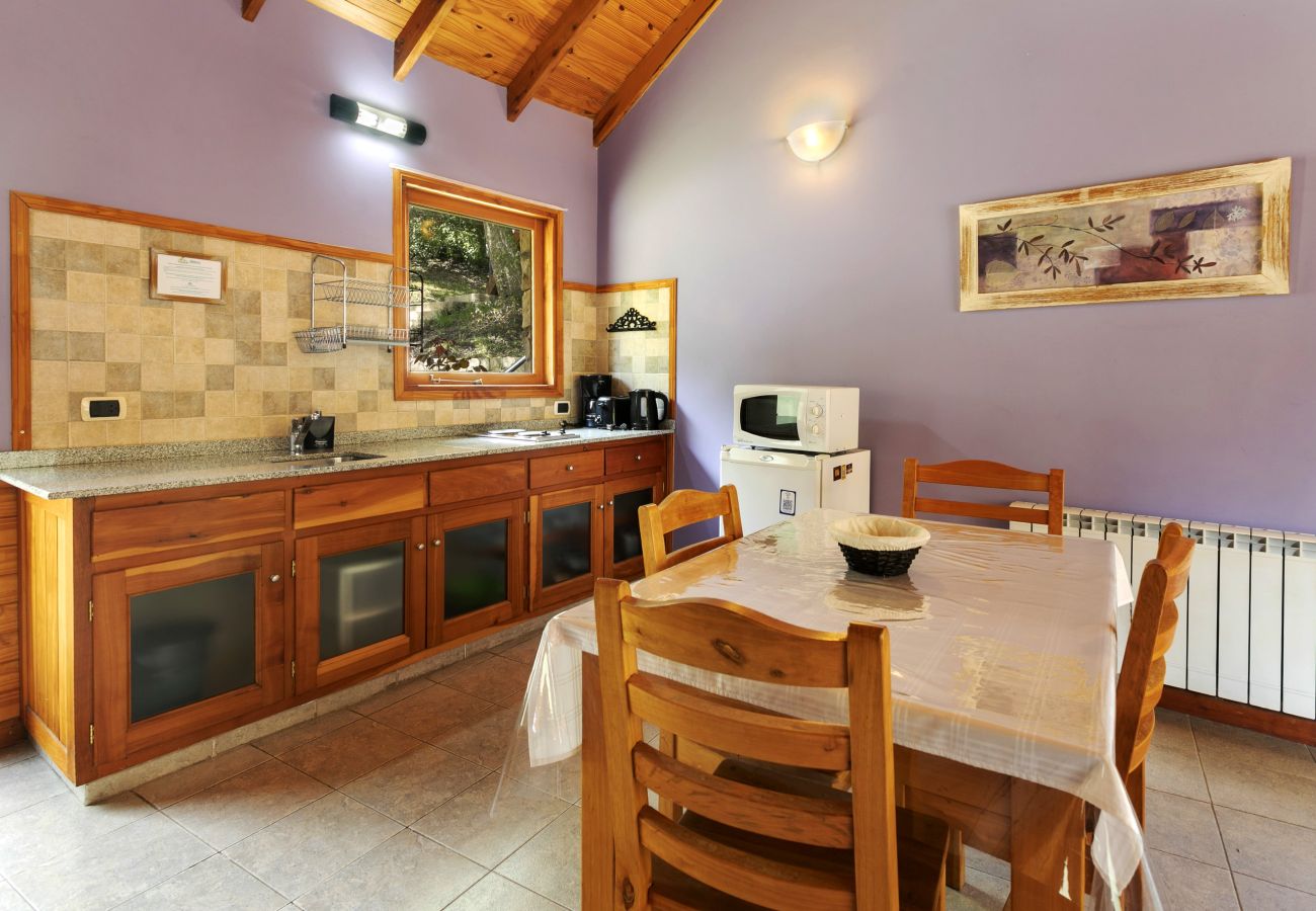 Aparthotel in Villa La Angostura - Altos de Antilhue 5 | Apart Hotel con vistas al bosque