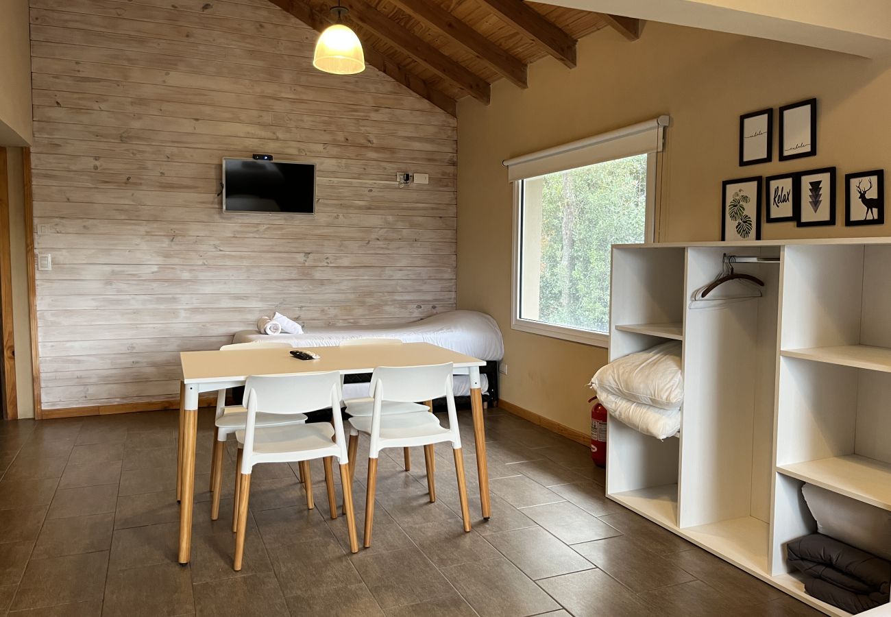 Apartment in Villa La Angostura - BOG - Baguales 5 Departamento céntrico