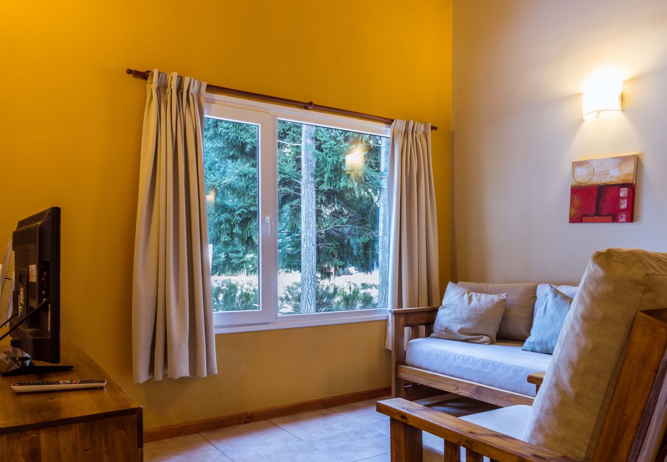 Apartamento em Villa La Angostura - Apart Foresta 4