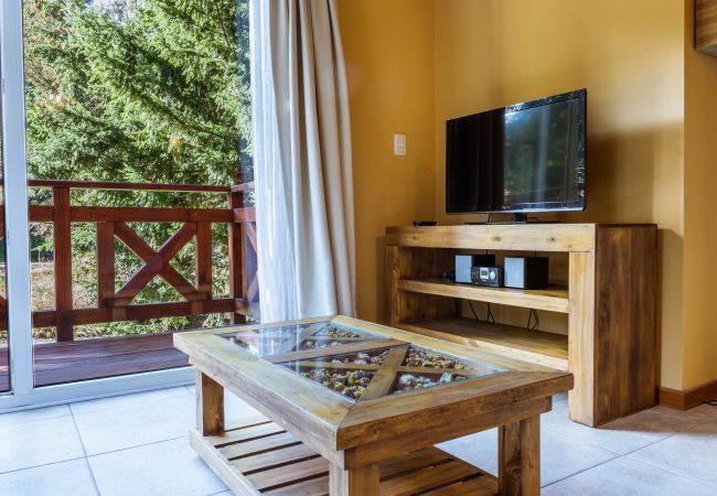 Apartamento em Villa La Angostura - Apart Foresta 6