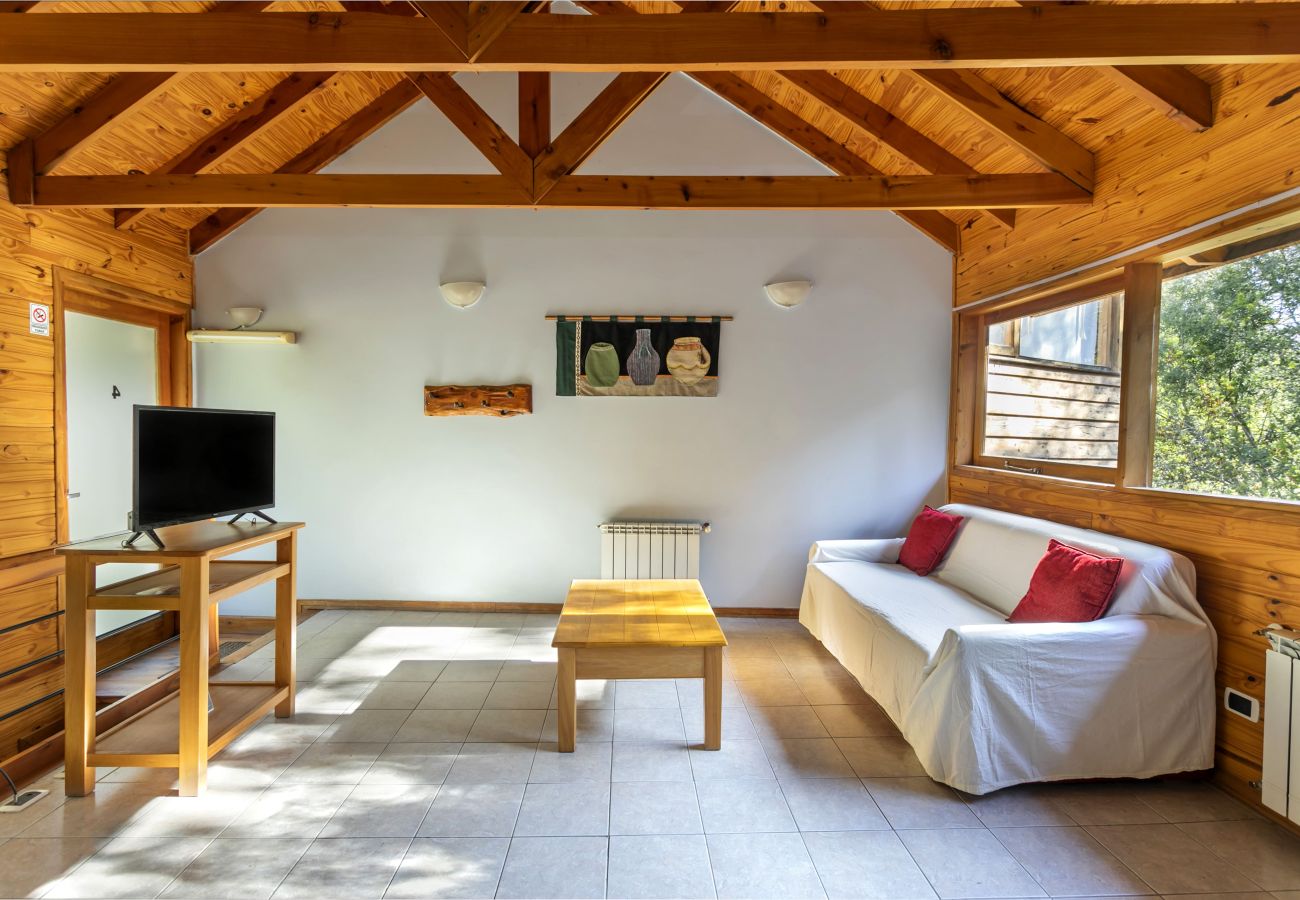 Apart-hotel em Villa La Angostura - Altos de Antilhue 2  | Apart Hotel con vistas al bosque